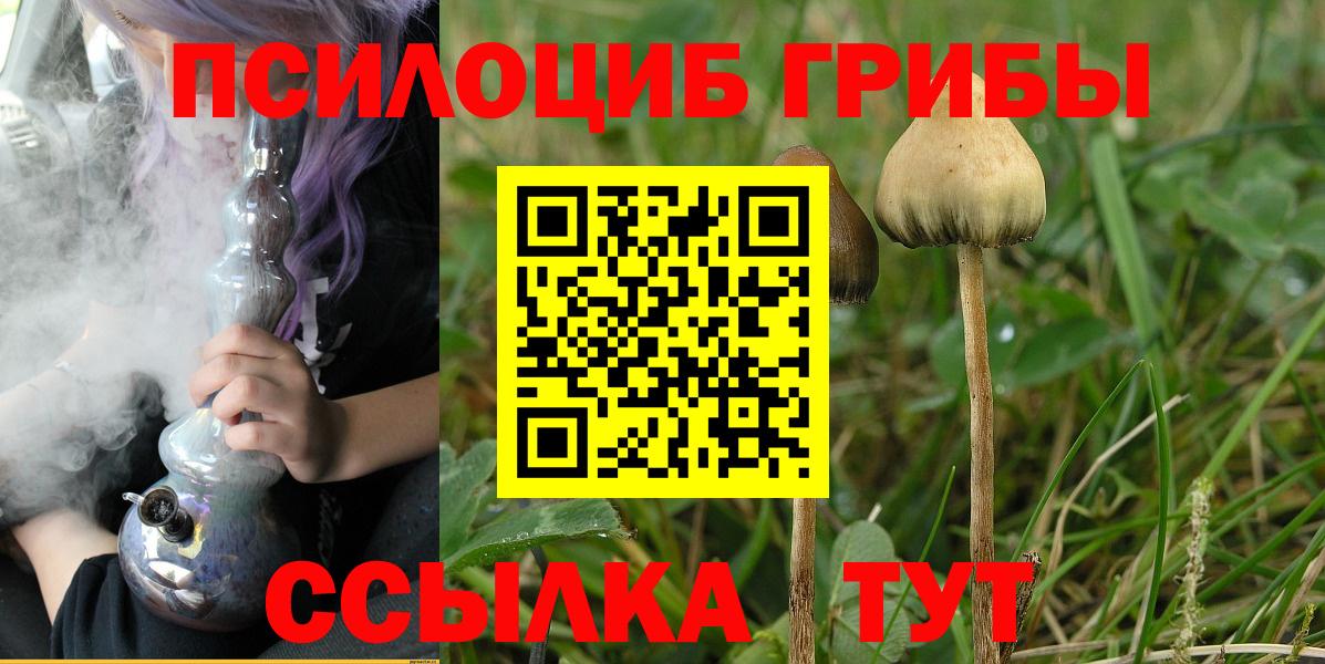 где продают   Псилоцибиновые грибы мицелий  Вход с VPN  Котлас 