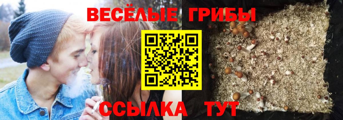 Псилоцибиновые грибы Magic Shrooms Котлас